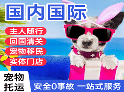 长乐航空快递国际宠物托运 【国